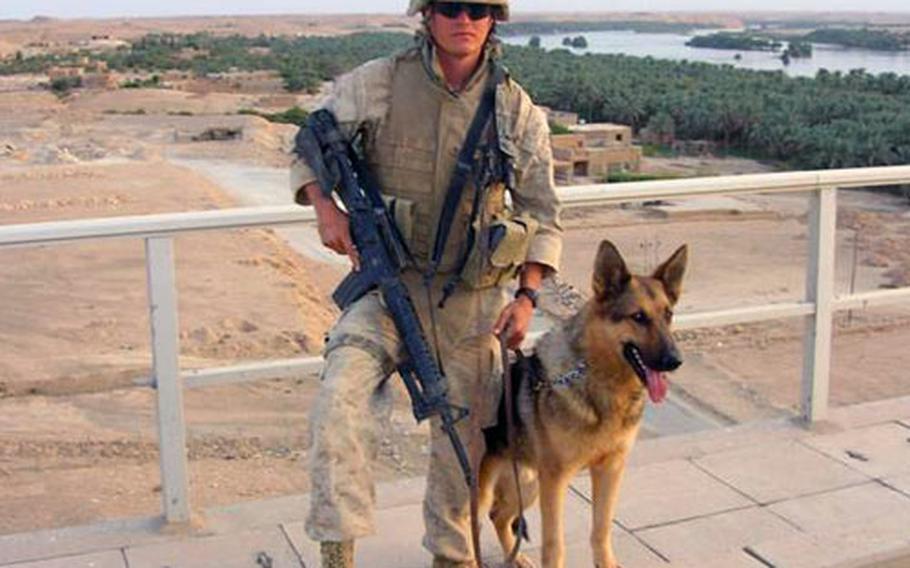 Do Marine Dog Handlers See Combat